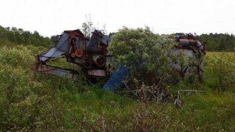 Rusty Yet Beautiful photo 3