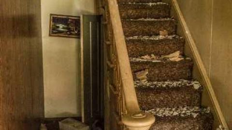 Hey Joe '15 - Holey-Sht46.jpg