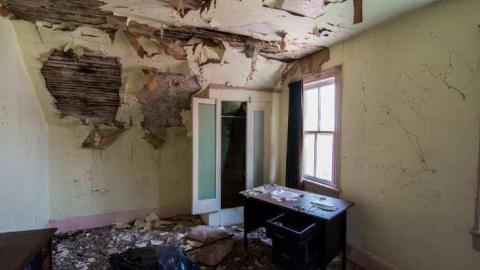 Photo from Hey Joe '15