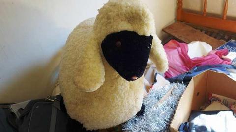 Hey Joe '15 - Holey-Sht59.jpg