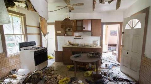 Photo from Hey Joe '15