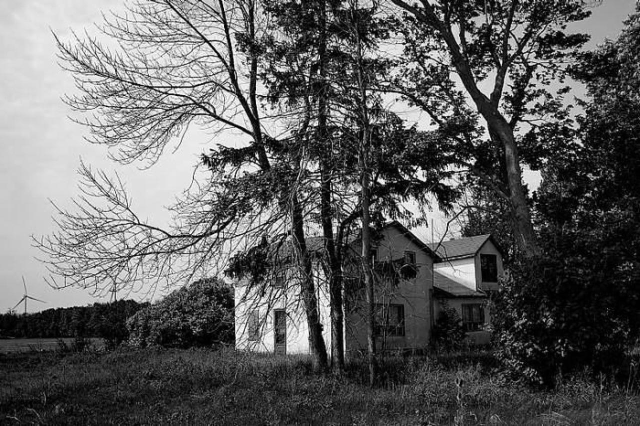 Patchwork - image.jpg