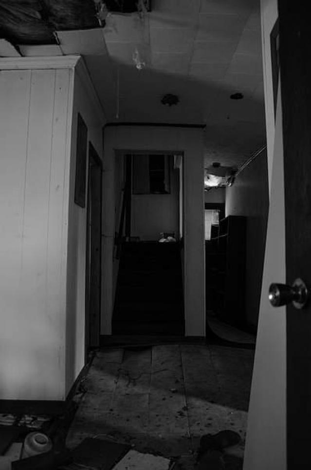 Patchwork - lcimage.jpg