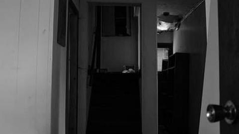 Patchwork - lcimage.jpg