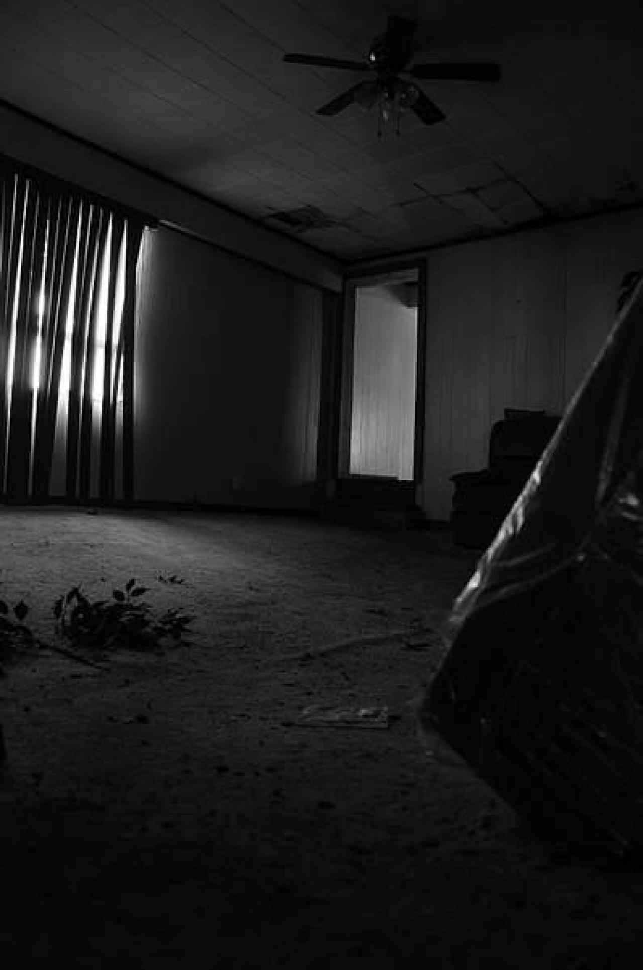 Patchwork - ajimage.jpg