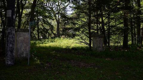 Treasure Hunt - Anthes-Beach-Houses218.jpg