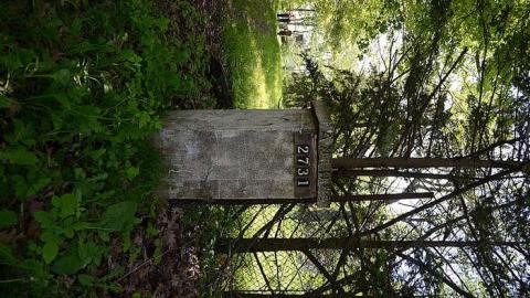 Treasure Hunt - Anthes-Beach-Houses185.jpg