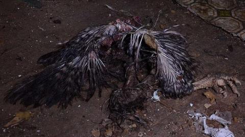 Treasure Hunt - Anthes-Beach-Houses199.jpg