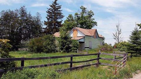 Granny Cocks - Granny-Cocks-House18.jpg