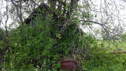 House Up The Lane photo 5