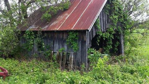 House - IMG_6912.jpg