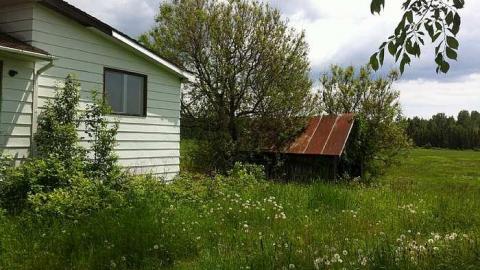 House - IMG_6904.jpg