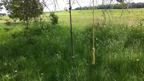 House Up The Lane photo 3