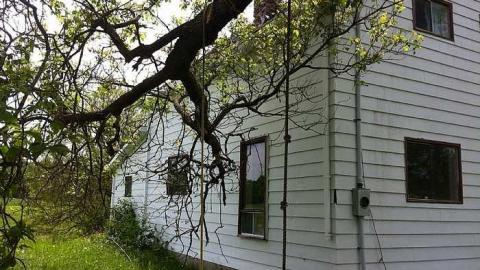 House Up The Lane photo 2