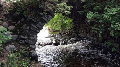 Photo from Bowman creek bridge 