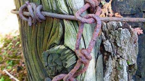 Rogers - Rogers-United-Cemetery18.jpg