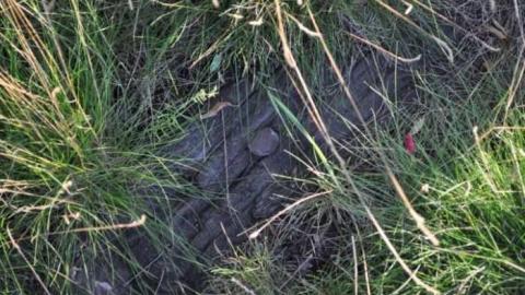 Allandale Roundhouse photo 5