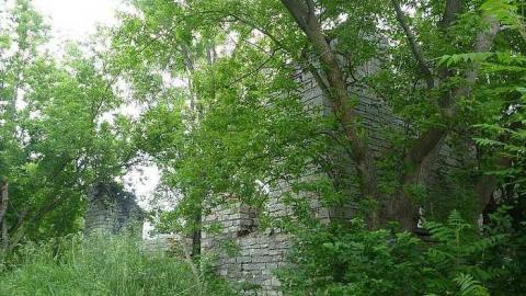 June 14th 2015 - Petworth-Lumber-Mill-Ruins2.jpg