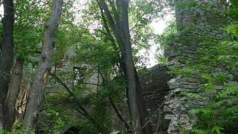 Petworth Lumber Mill Ruins photo 4