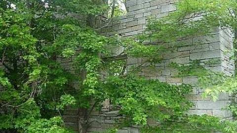 Petworth Lumber Mill Ruins photo 2