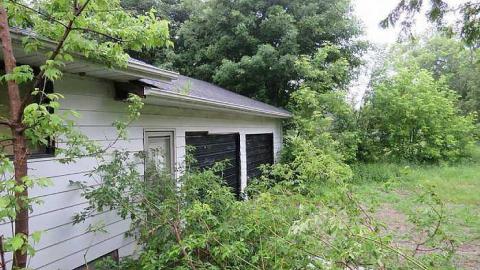 Trees Please  - 20150614182205.jpg