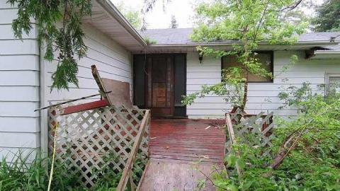 Trees Please  - 20150614182221.jpg