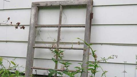 Trees Please  - 20150614182315.jpg