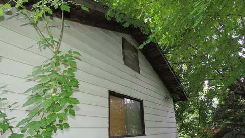 Trees Please - Markham, Ontario