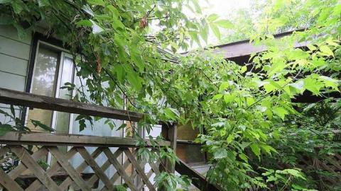 Trees Please  - 20150614182859.jpg