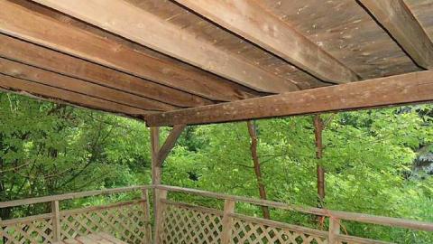 Trees Please  - 20150614182935-1.jpg