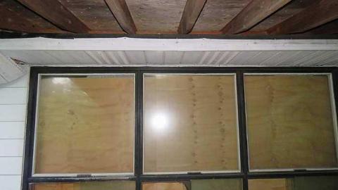 Trees Please  - 20150614182945.jpg