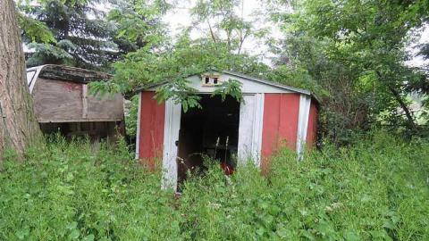 Trees Please  - 20150614183041.jpg