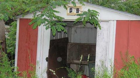 Trees Please  - 20150614183049.jpg