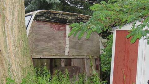 Trees Please  - 20150614183101.jpg