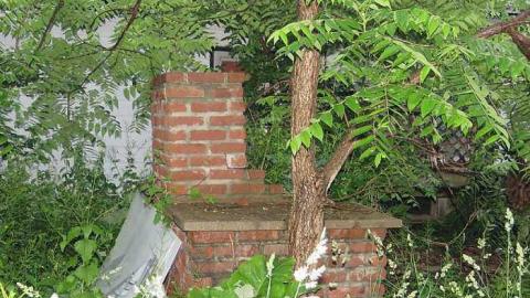 Trees Please  - 20150614183109.jpg