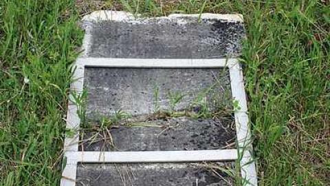 June 2015 - Jelly-Cemetery1.jpg