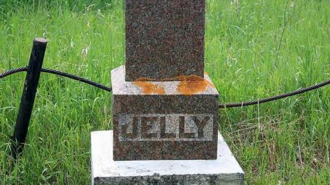 June 2015 - Jelly-Cemetery12.jpg