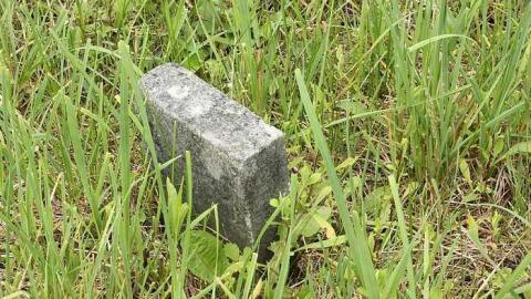 June 2015 - Jelly-Cemetery15.jpg