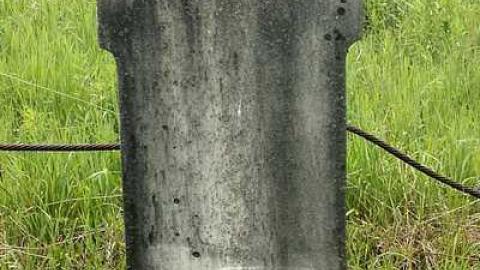 June 2015 - Jelly-Cemetery13.jpg