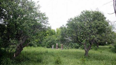 June 2015 - Jelly-Cemetery16.jpg