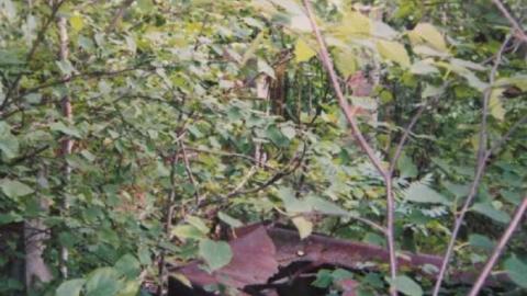 Camp Calydor - Gravenhurst-Nazi-POW-Camp29.jpg