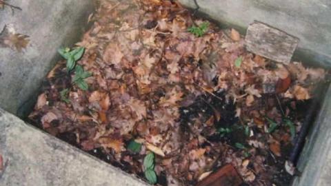 Camp Calydor - Gravenhurst-Nazi-POW-Camp31.jpg