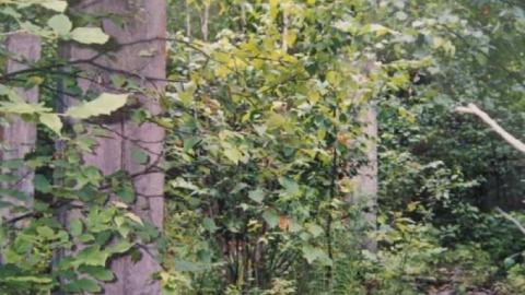 Camp Calydor - Gravenhurst-Nazi-POW-Camp33.jpg