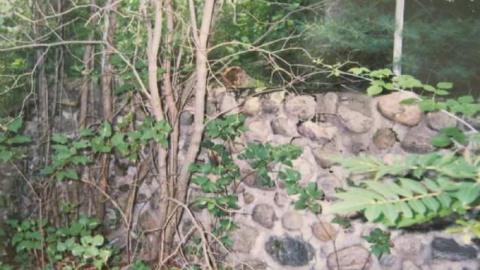 Camp Calydor - Gravenhurst-Nazi-POW-Camp35.jpg