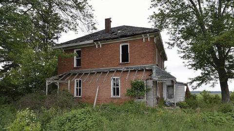 In The Line Of Fire photo 5