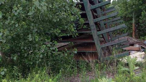 S and L - S-and-L-Plant69.jpg