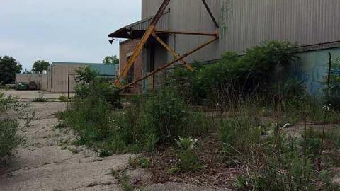 S and L - S-and-L-Plant1.jpg