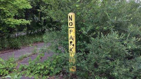 S and L - S-and-L-Plant87.jpg