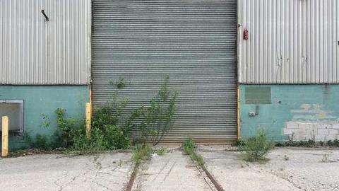 S and L - S-and-L-Plant91.jpg