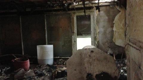 Inside Pine Valley Drive - IMG_1855.jpeg